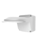 Outdoor Wall Mount for The Radius and The Judge - WMN26P